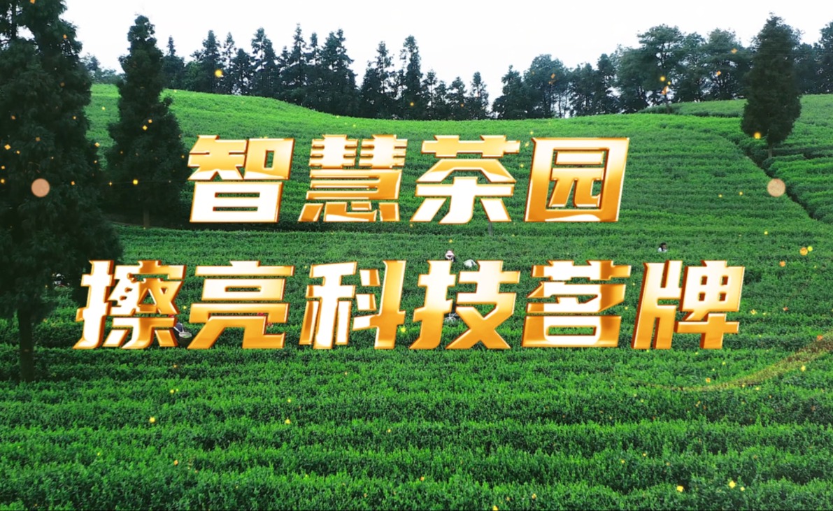 KU酷游(中国)茶园，擦亮科技茗牌